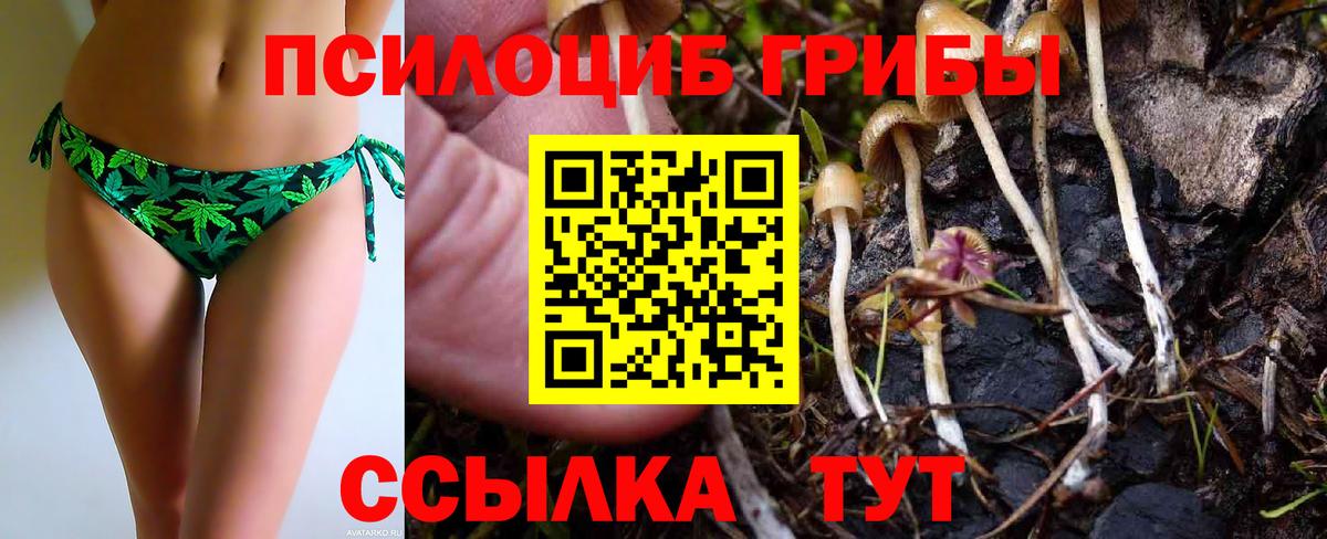 Тейково  Псилоцибиновые грибы Psilocybe  Вход с VPN 