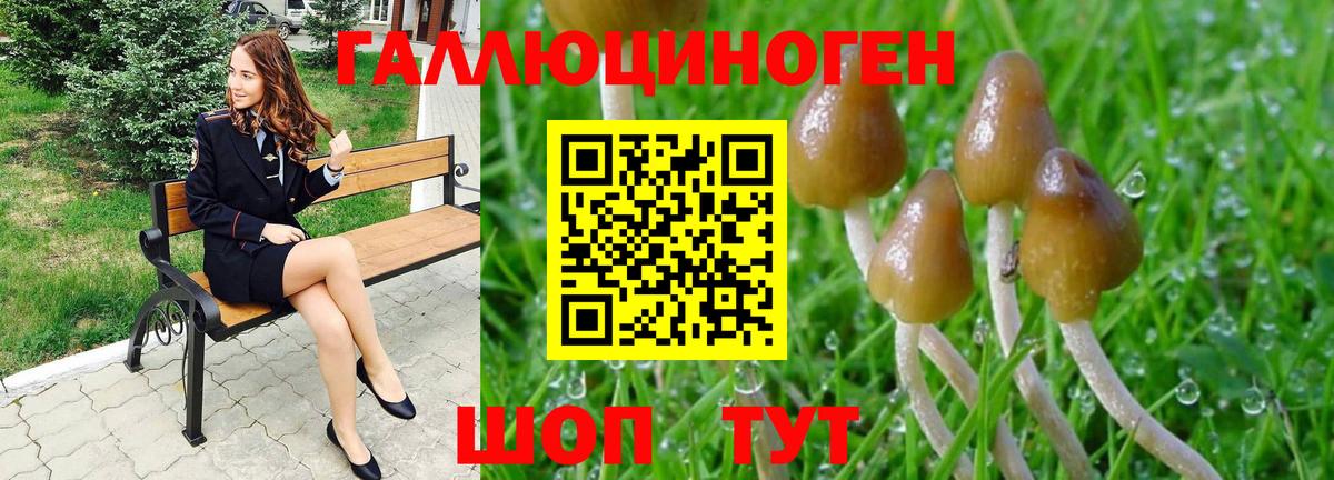 Псилоцибиновые грибы GOLDEN TEACHER Тейково